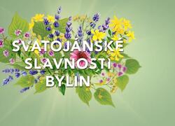 Bylinkova-cajovna-slavnosti bylin