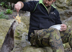 Krmení zvířat v zoo Děčín