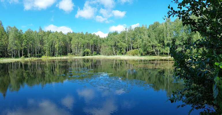 Vlčí jezero